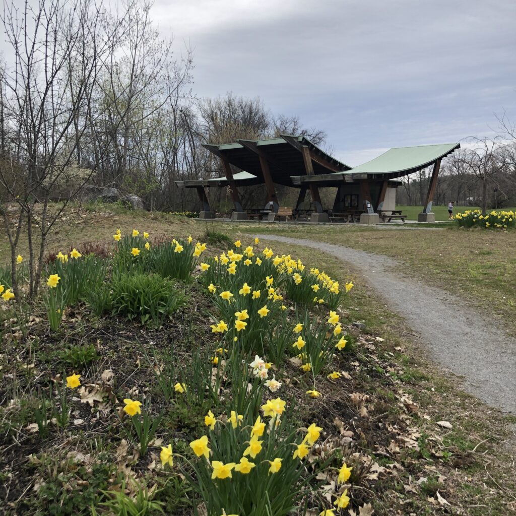 Hudson River Park