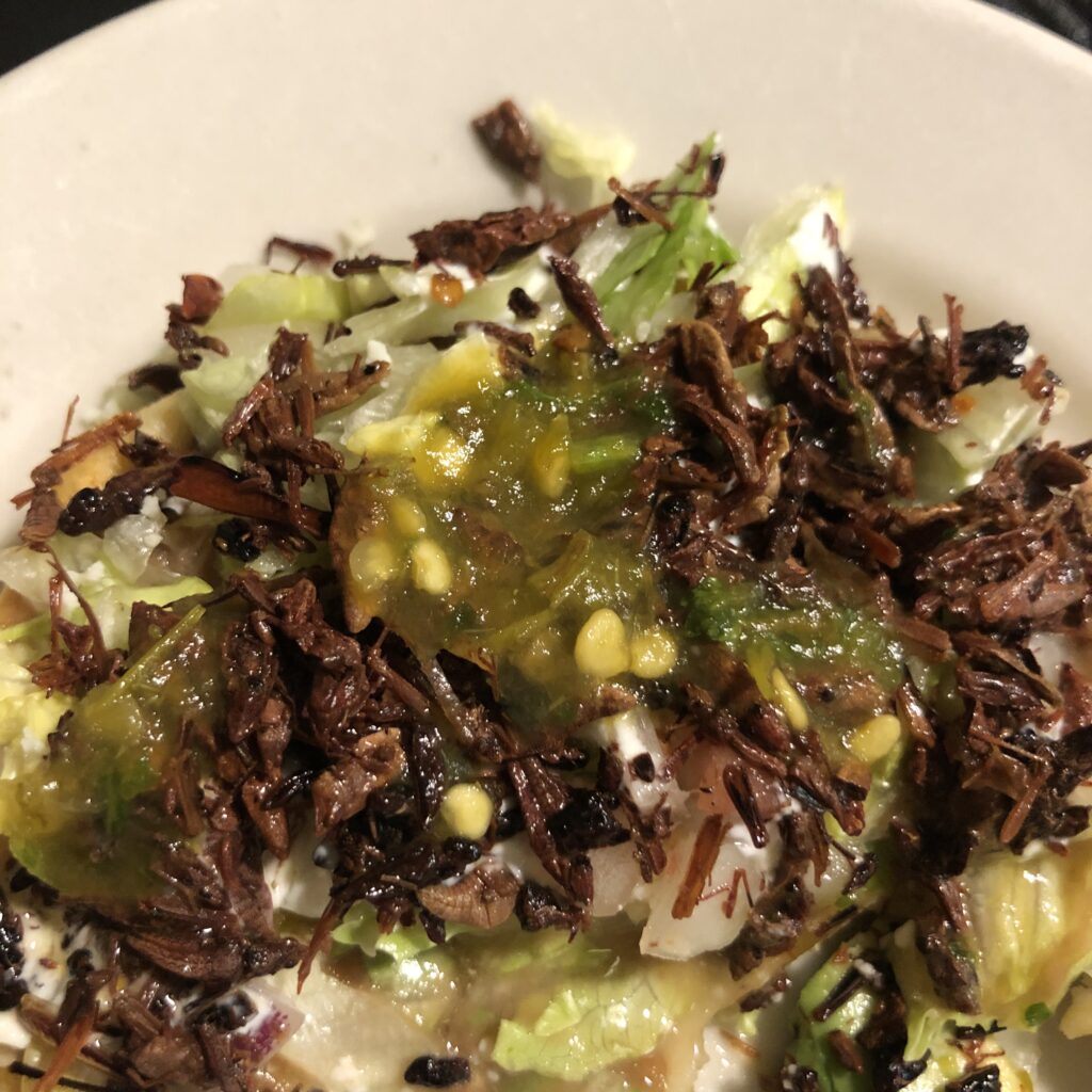 Chapulines (grasshopper) Taco