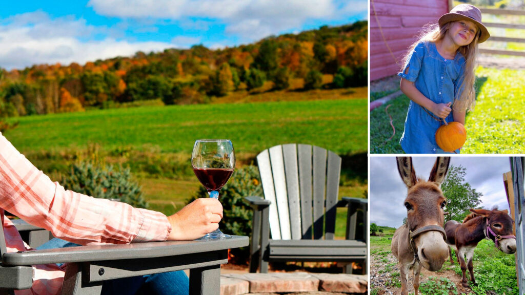 Blind Buck Valley Farm Collage